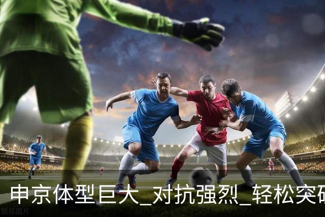 申京体型巨大 对抗强烈 轻松突破马刺防线